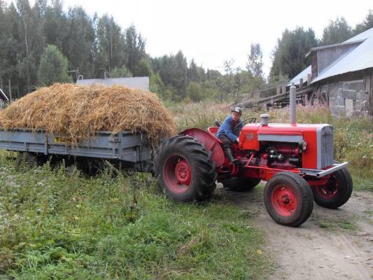 Kaurojen ajo seipäiltä talliin
Valmet 565 ja Tuhti
Avainsanat: valmet 565 tuhti