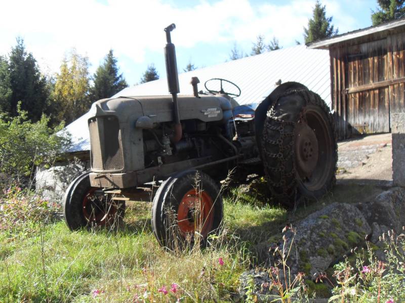 Puintitouhuja
Power major oottelee mäkistartissa pääsyä puimakoneen pyöritykseen
Avainsanat: fordson power major puinti