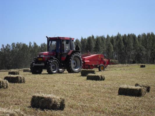 Tutulla heinätalkoissa
Case ih 4230 ja Welger 
Avainsanat: case ih 4230 welger