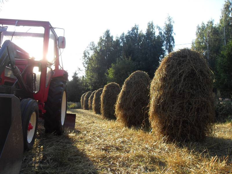 Kaurat seipäillä
International B414, pitihän työvälineet jollain värkillä tuoda paikalle
Avainsanat: natikka b414 valtra j50 fernmo