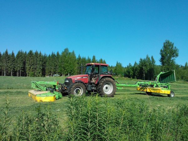 Heinää matalaksi
Case ih Mxm155 ja uudet Samaszit Kdf 340
Avainsanat: case ih 155 mxm samasz kdf 340