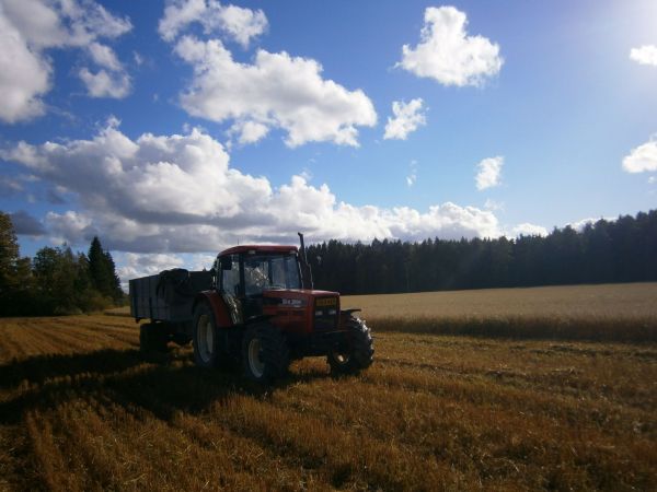 Zetor Forterra 11641 ja omavalmisteiset viljakärryt
Viljan ajoa
Avainsanat: Zetor Forterra 11641 Omavalmiste