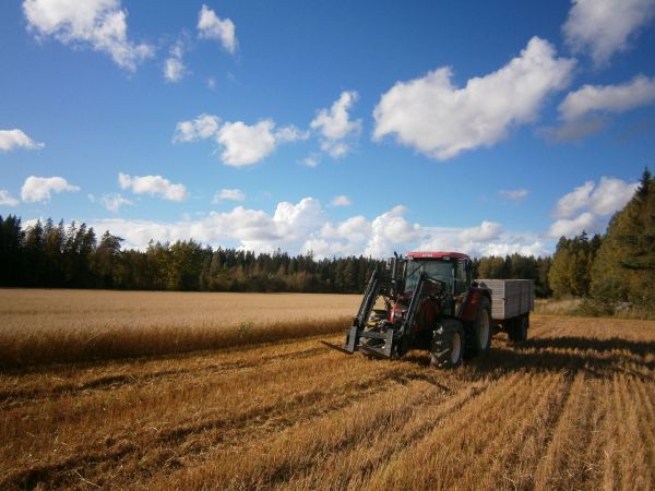 Zetor Forterra 10641 viljan ajossa
Puintia
Avainsanat: Zetor Forterra 10641 Trac-lift 260sl Omavalmiste