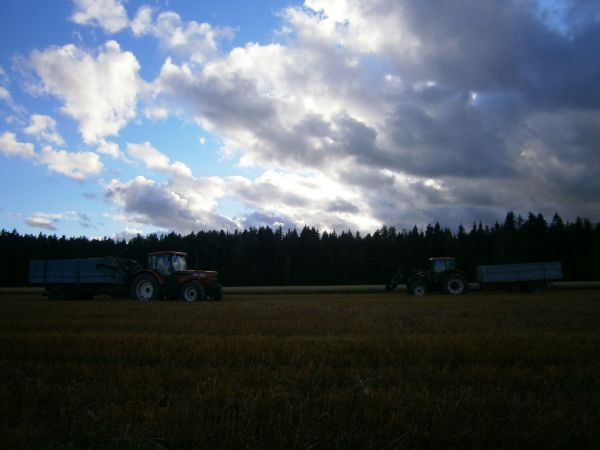 Zetorit ja omavalmisteiset viljakärryt
Viljan puintia 
Avainsanat: Zetor Forterra 11641 10641 Trac-lift 260sl Omavalmiste