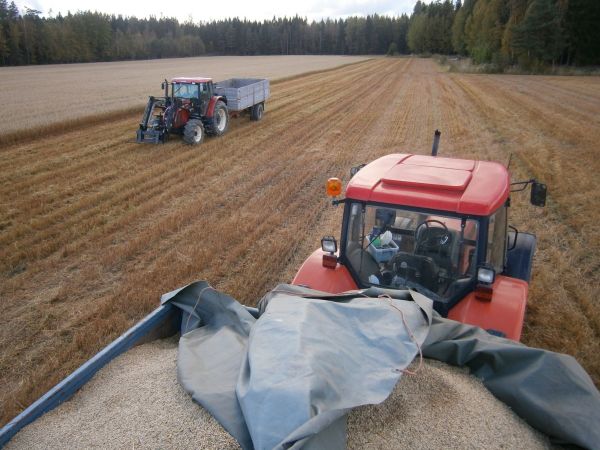 Zetorit viljan ajossa
Puintia
Avainsanat: Zetor Forterra 11641 10641 Trac-lift Omavalmiste