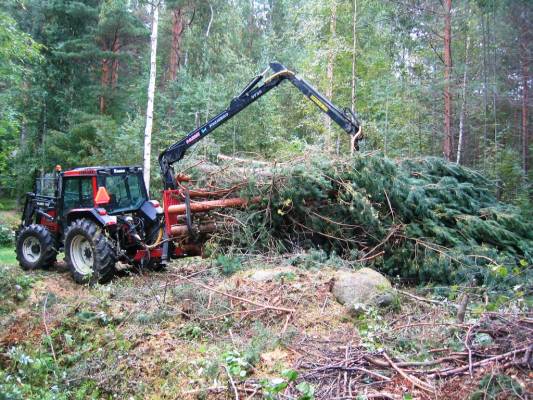 Puunajoa
Tonttipuita pois oksineen.
Avainsanat: Valmet Farmi