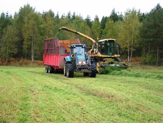 Kissa ruokailemassa
Siis kesän viimeiset rehut talteen.
Avainsanat: Valtra New Holland