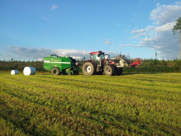 Caseih mx 170 & McHale Fusion2
Fusioni koeajussa
Avainsanat: Caseih mx 170 & McHale Fusion2