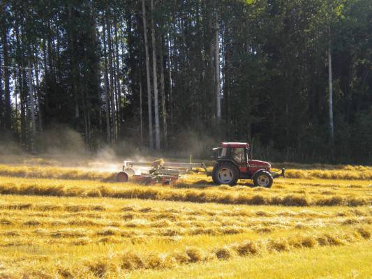 case 4240 ja claas 680
olkien karhoittelua
Avainsanat: olkien karhoittelua