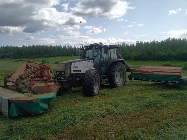 intercooler ja kverne
Makkarapotut kesäisellä rehupellolla 
