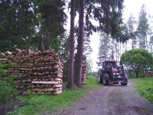 A92+mehtäkärri
Mökillä siistimässä paikkoja, lähinnä risukasoja nakkelin parempaan paikkaan mitä tuli puitatehdessä. Tehtiin 105 mottia metristä koivuklapia talvella, pinon päätä näkyy kuvassa. Täällä lisää kuvia pinoista ;) 
http://www.tori.fi/pohjois-savo/Metrista_koivu_halkoa_5653103.htm?ca=8&w=1&last=1
