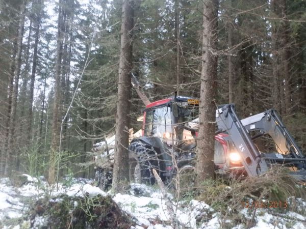 Metsässä
Einomyrsky suoritti hakkuun
