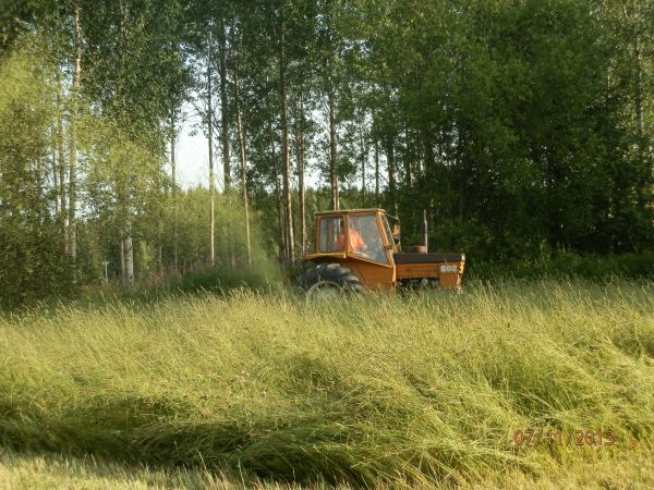  Valmetilla nurmikon ajoa!
Ei aika riittäny jäniksille tehä kuivaaheinää, jos sitä sitte ens kesänä
