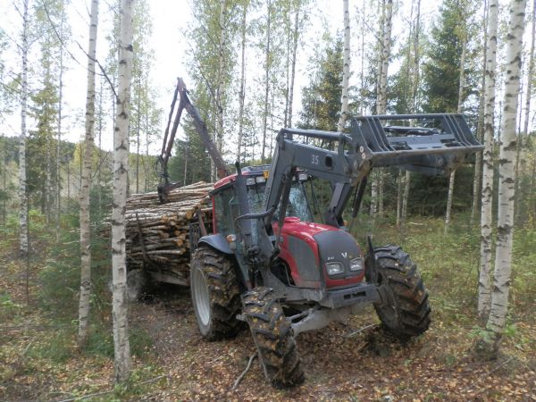 A92 ja rankakuorma
Pakollinen poseraus kuva, eikös ne  metsurit aina kuvissa poseraa jalka kannonpäällä? Mutta tosiaan koivikon harvemmusta tässä nyt meneillään noin 5 täyttä kuormaa ajettu jo pihaan ja vielä arviolta kaksi tulee, on taas klapikoneelle töitä ensikeväänä :)!
