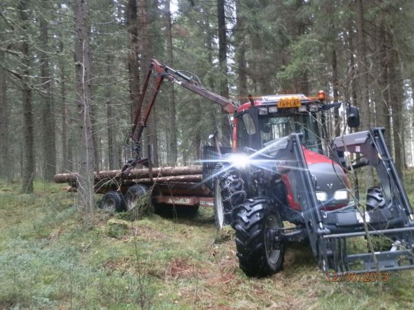 A92 ja nokat
Tuulenkaatoja keräämässä
