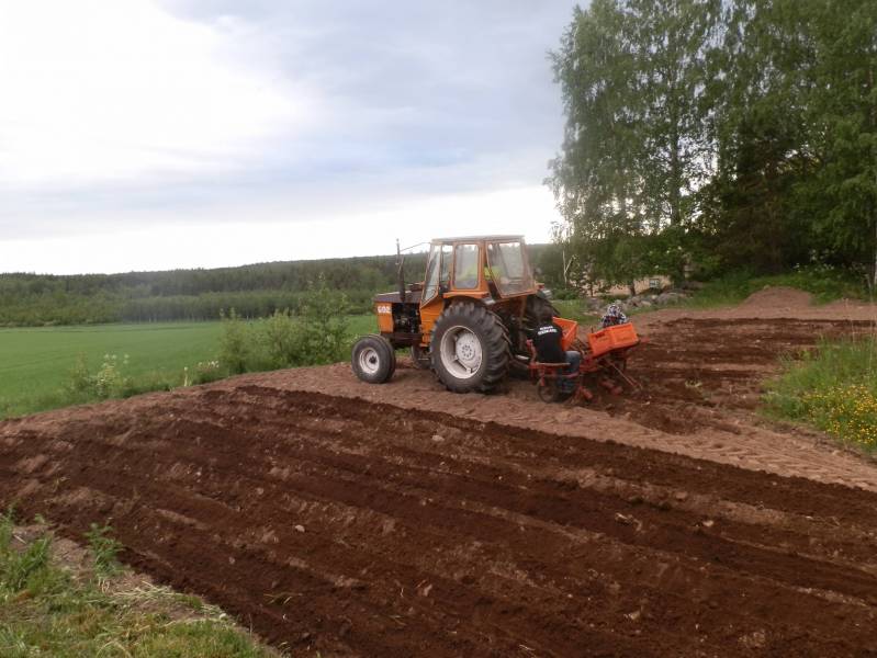 Valmet 602 hankkian perunan istutus kone ja kasakat
Perunan laittoa kaverin luona, valmetti meinaa käydä vähän huonolal hapella, katkasun jälkeen otti tavakseen ottaa vähän väliä ilman pumppuun.. ja kun stefat on kunnossa rupesi öljykello tiputtamaan kone öljyt  pihalle...
