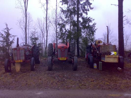 Komia Kolmikko
Oikealta käsin on ensimmäisenä Mc Cormick ja seuraavana MF 65 ja viimeisenä, muttei vähäisimpänä Nuffiel kaivuri  =P   Wanhaa Rautaa
Avainsanat: Massey Ferguson Nuffield Mc Cormick 65 kaivuri kolmikko wanha