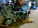 Filename=01112008745.jpg
Filesize=616KiB
Dimensions=2048x1536
Date added=Nov 03, 2008 01112008745.jpg
