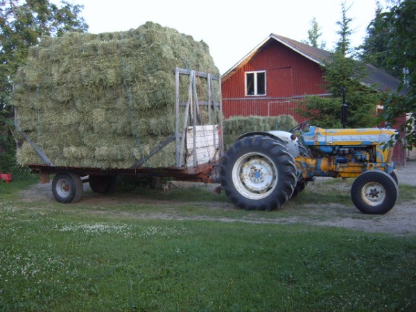 ford 5000 ja pitkkä-esa 280 paalia
