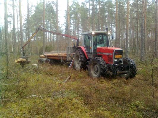 MF 3125 och Patu/Hakki viritelmä.
Lautapuitten ajos...
Kerkis lumet sulamaan ennenkö kerkis edes ajohommin. :D
Avainsanat: Massikka Puunajoa Hakki Patu