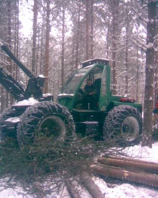 Pro silva 810
