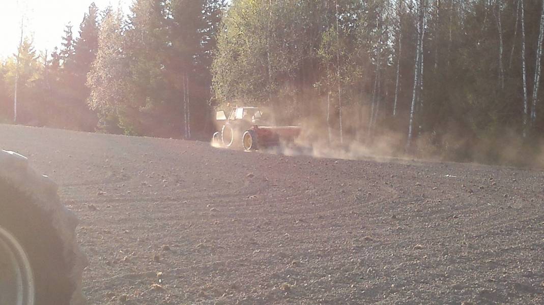 kylvöä 
kylvöä natikal ja jukol
Avainsanat: natikka ja juko