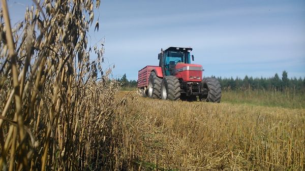 Massey ferguson 9240. 
Kärry raktorina tänä vuonna.
Avainsanat: Mf-9240.