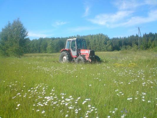 MASSEY-FERGUSON 690
niittämäs
Avainsanat: verku