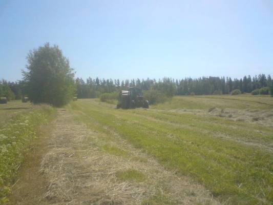 MASSEY-FERGUSON 690 JA CLAAS ROLANT 62
Avainsanat: verku