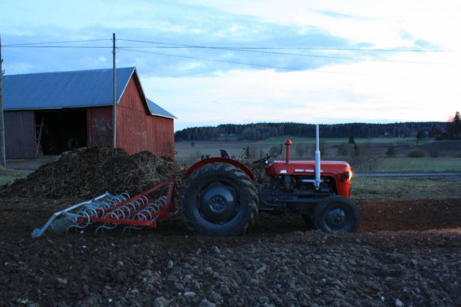 Massey Ferguson 35
Äestämässä fergulla pitkästä aikaa.
Avainsanat: 35