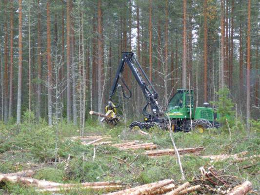 Metsää kaatuu.
John Deere 1270D ja H480 pää vm.2005, tunteja 11000h.
