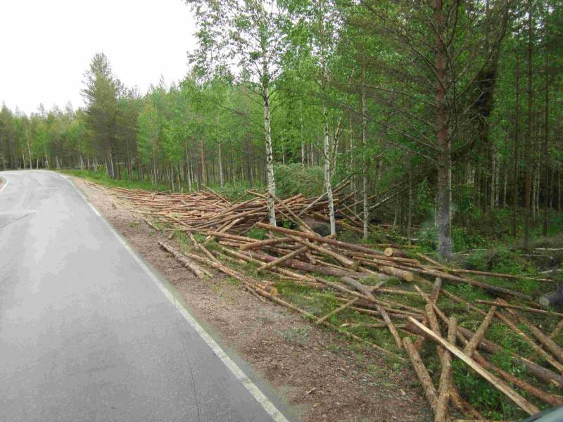 Siitä on kiva keräillä.
Kärri kävi kylellään.
