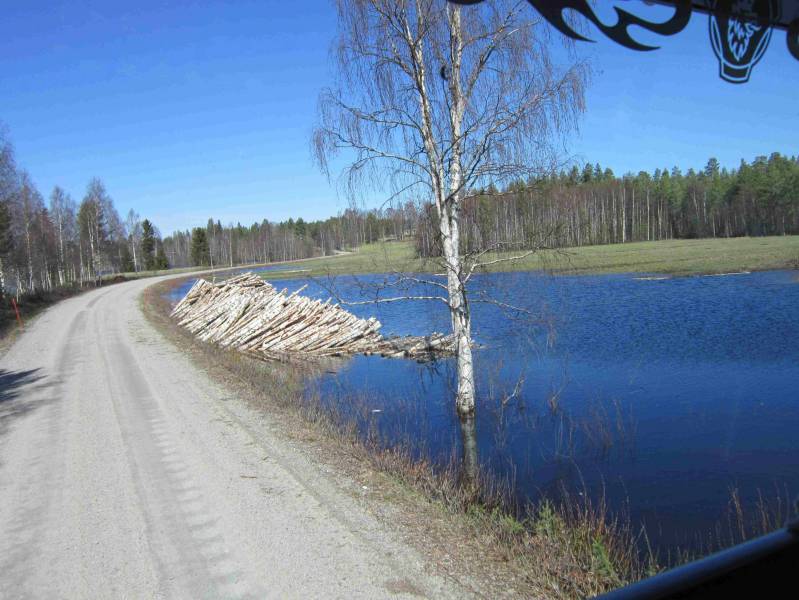 Pelto uittoo.
Aika vetinen laani.
