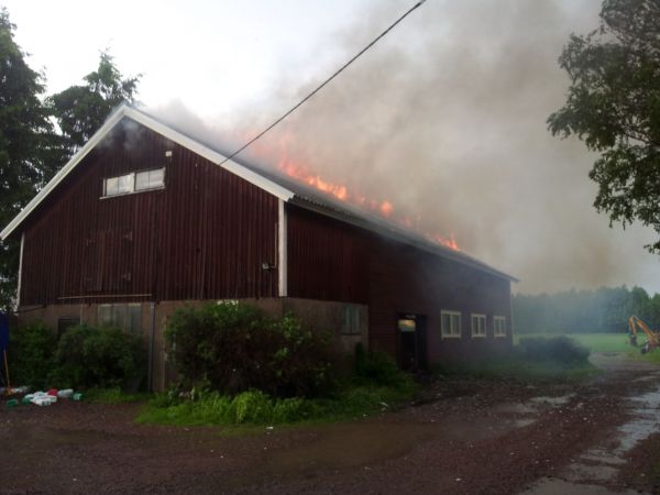 remonttiii
kuva 9. kotiin päin tullessani puhelin soi ja vanha isäntä kertoi salaman osuneen verstaaseen. ripeästi katsomaan mitä tapahtuu! savu nousi ja liekit löivät katolla. kiireellä pelastamaan kesän torjunta aineita ja ajamaan kaivuria ulos hallista! onneksi oli vanha isäntä kotosalla, tuho olisi ollut muutoin melkoinen! kuvan otto hetkellä ensimmäiset paloautot kurvasivatkin pihaan.
Avainsanat: remonttii