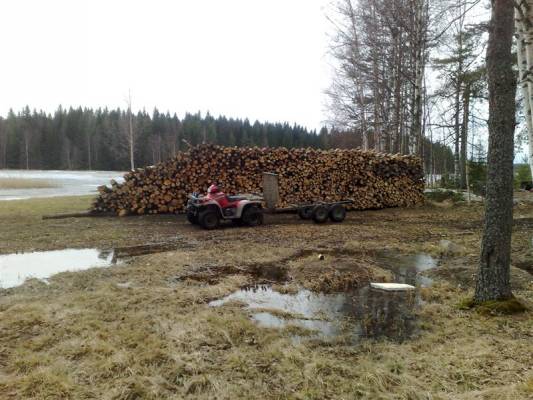 Polaris 335 ja sillä tälven aikana ajetut puut
Muutama puu tuli tuossa ajeltua talven aikana 
Avainsanat: Polaris 335