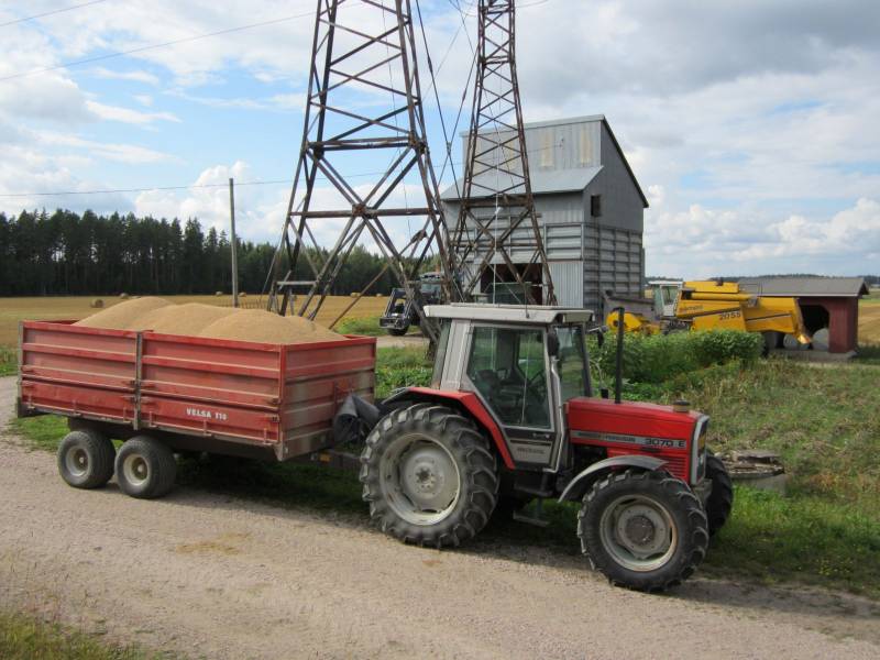 Vehnien ajoa kuivurille
Kruunu vehnästä kohtalaista satoakin, n. 75 hehtoa/ha tuoreena parhaalta lohkolta.
Avainsanat: MF 3070 E Velsa 110 Valtra N141 Palms 1200 Sampo Rosenlew 2055