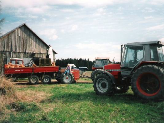 Kylvökoneen täyttöä
Valmet 604, Velsa 110, Tume HKL3000, Zetor 6211 ja MF 3070 E  
Avainsanat: Valmet 604 Velsa 110 Tume HKL3000 Zetor 6211 MF 3070 E