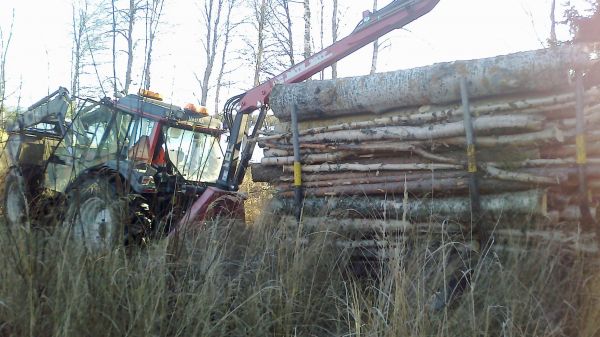 Siihen se istahti,  
se kun heinä on pitkää ja ei näe että mitä siellä on alla, yhtä äkkiä vain tipahti johonkin monttuun ja siihen jäi!
