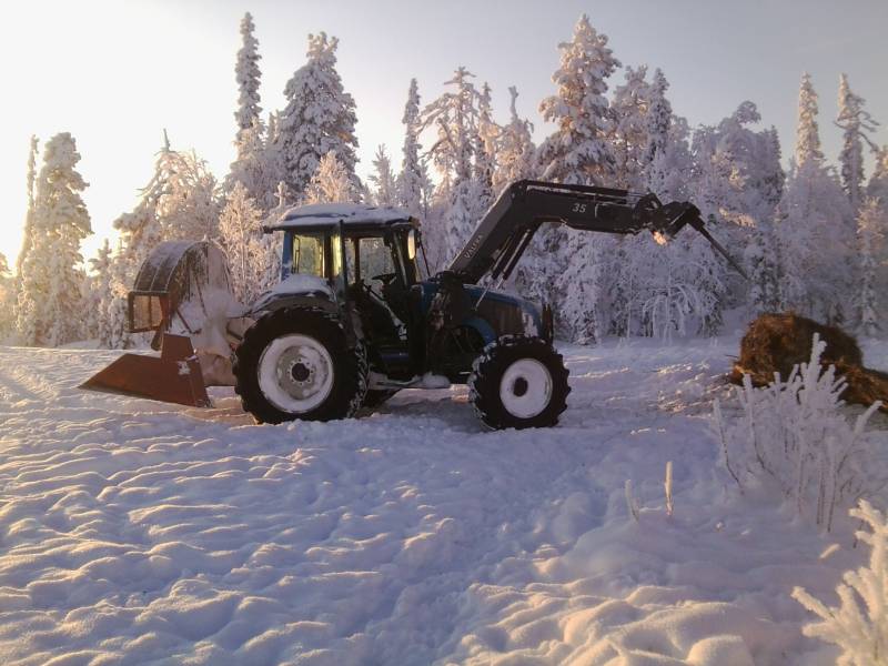 valtra a95 
piti paali viedä poroille mehtään että saavat syödä. meinasi olla vaan aika kankia kone kun pakkastakin oli, tuokin kone piti laittaa starttiboosterilla käyntiin
