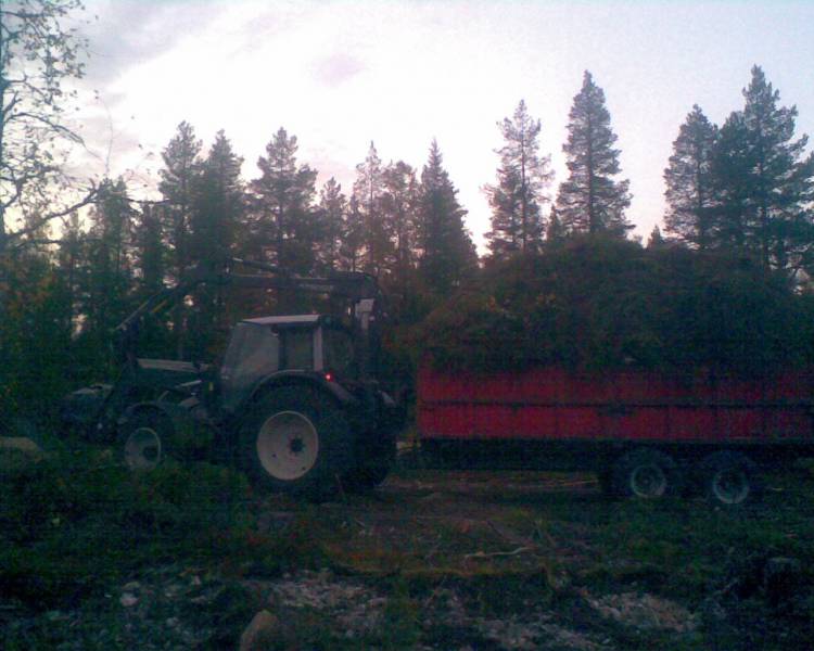 valtra N141 ja kuntta kuorma
kuva hieman epäselvä, pikkunen kuntta kuorma kyytissä ja painoa oli ihan kiitettävästi 
