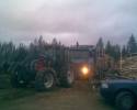 Tiedostonimi=muut_006.jpg
Tiedostokoko=220kt
Koko=1280x1024
Lisätty=%23.%10.%2011 muut_006.jpg