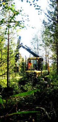 Ponsse Wisent 
Taivalkosken yksikön uusin Wisent varustettuna Moipun 250ES giljotiinikouralla 
Avainsanat: ponsse wisent moipu energia puu
