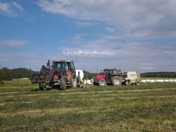 paalausta kesältä
paalausta kesältä
Avainsanat: paalausta ukkometso