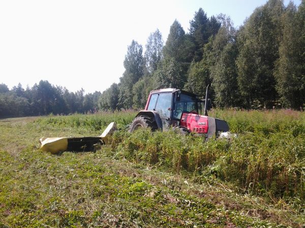 valtra jumissa
vähä painahti kesantopellolla
Avainsanat: valtra . ukkometso