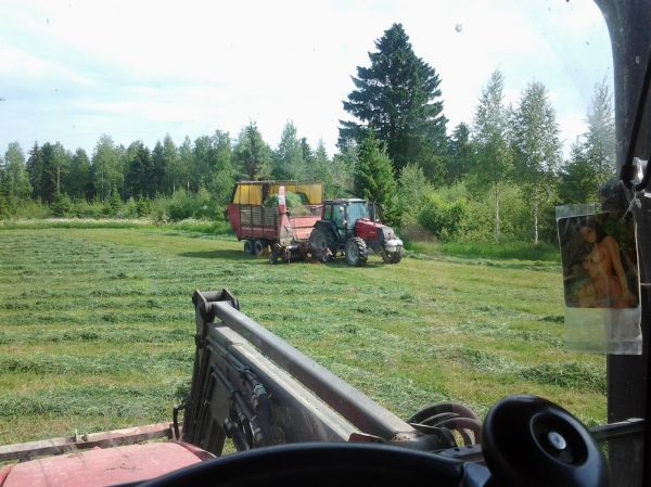 pellolta
massikka ja kärri ja valtra
Avainsanat: mf valtra