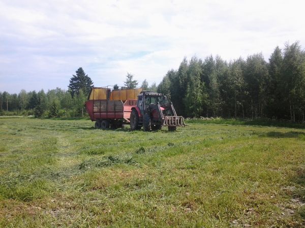 massikka
massikka ja kärri
Avainsanat: mf kärri