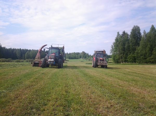 rehuntekoa 
pellollta
Avainsanat: valtra mf silppuri