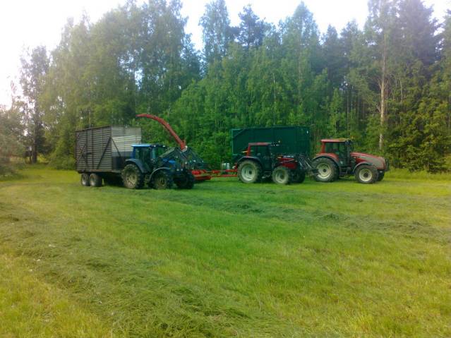 Rehunteko vehkeitä
rattorit on n121 t130 ja 6850. silppuri on jf 1050 ite tehdyllä torven jatkeella ja kärryt on multivan 150 farmeri rehulaidoilla ja tuhti 140 itte tehdyllä rehu kontilla :)
