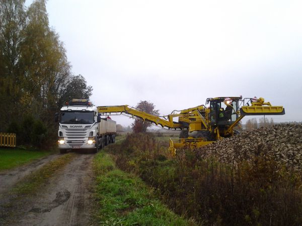 ROPA lastaa kaaniaa Porin nurkilla
helpolla on päästy tänäsyksynä juurikkaitten suhteen.
Avainsanat: ROPA scania r500 sokerijuurikas