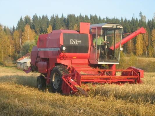 Massey Ferguson 20
Ohran puintia.
Avainsanat: mf massey ferguson massikka fergu 20